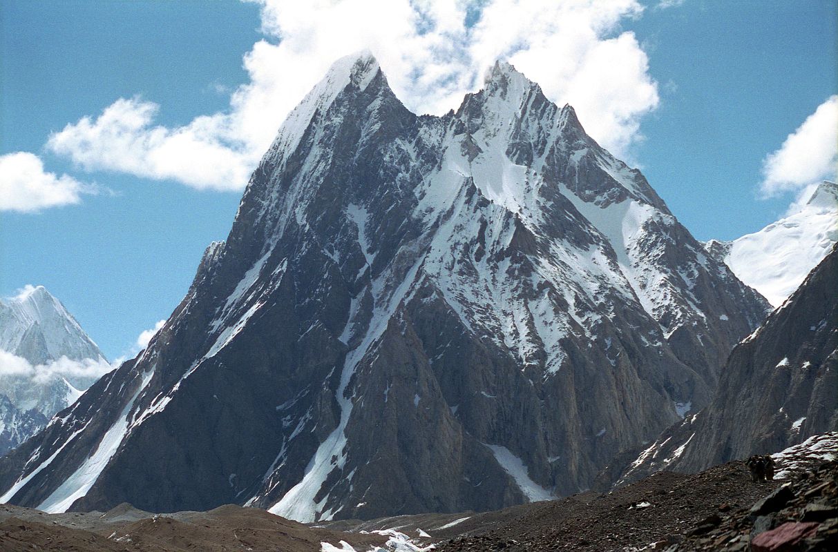 30 Mitre Peak With Gasherbrum VI Behind From Baltoro Glacier Between Goro II and Concordia